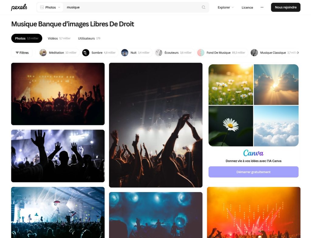 Pexels musique